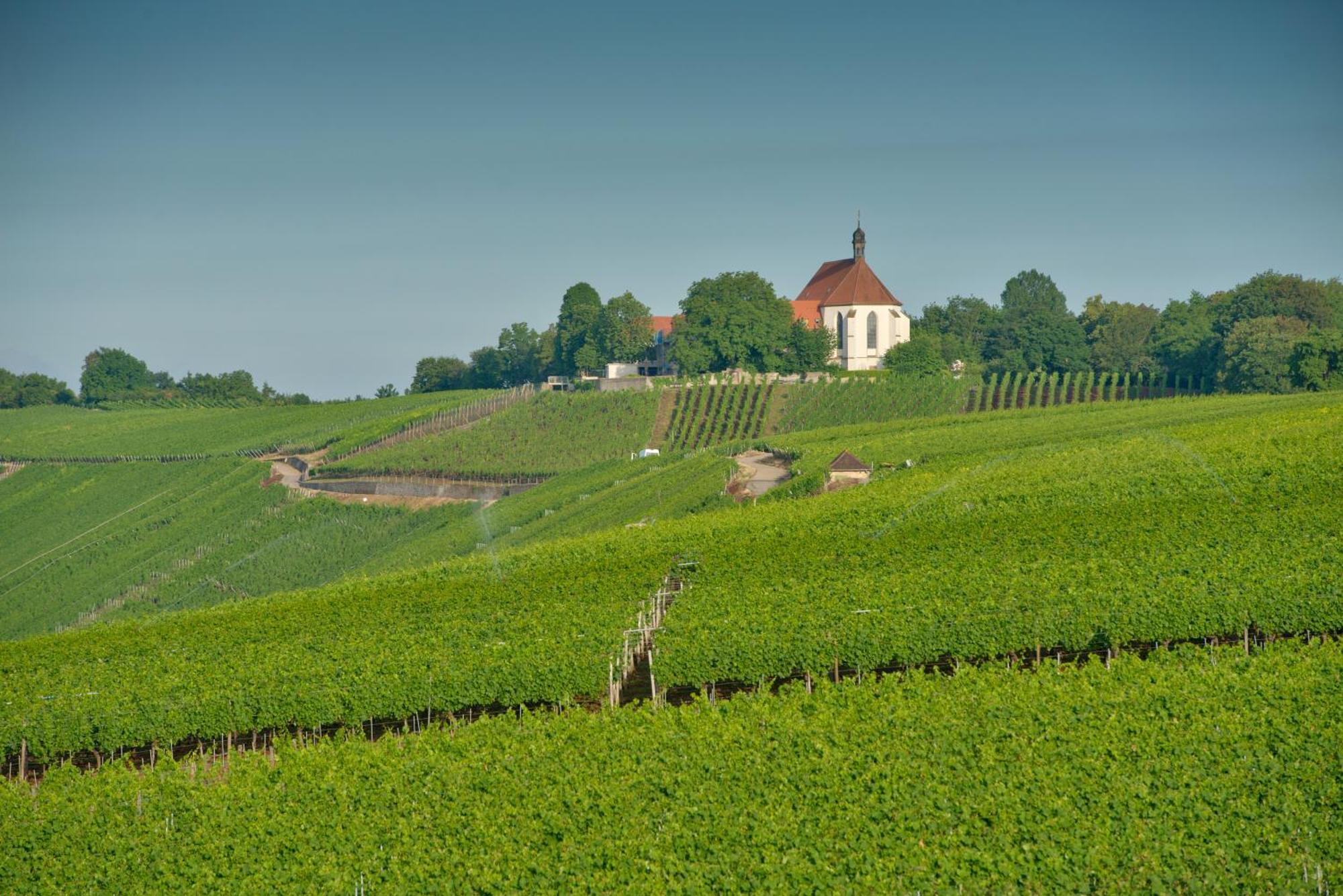 Vogelsburg Escherndorf Exterior foto