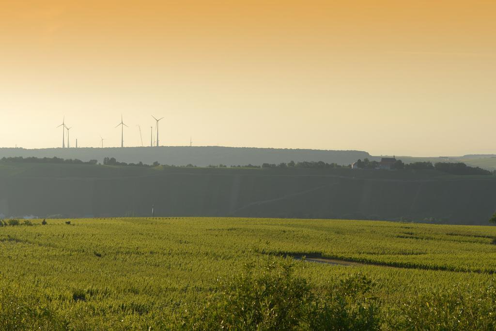 Vogelsburg Escherndorf Exterior foto