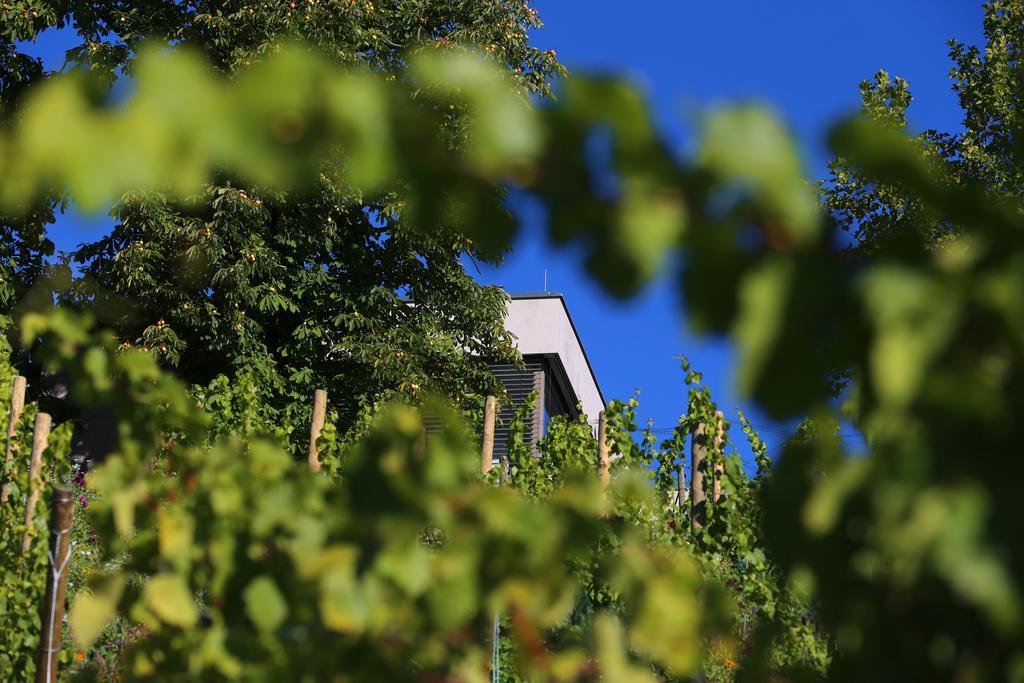 Vogelsburg Escherndorf Exterior foto