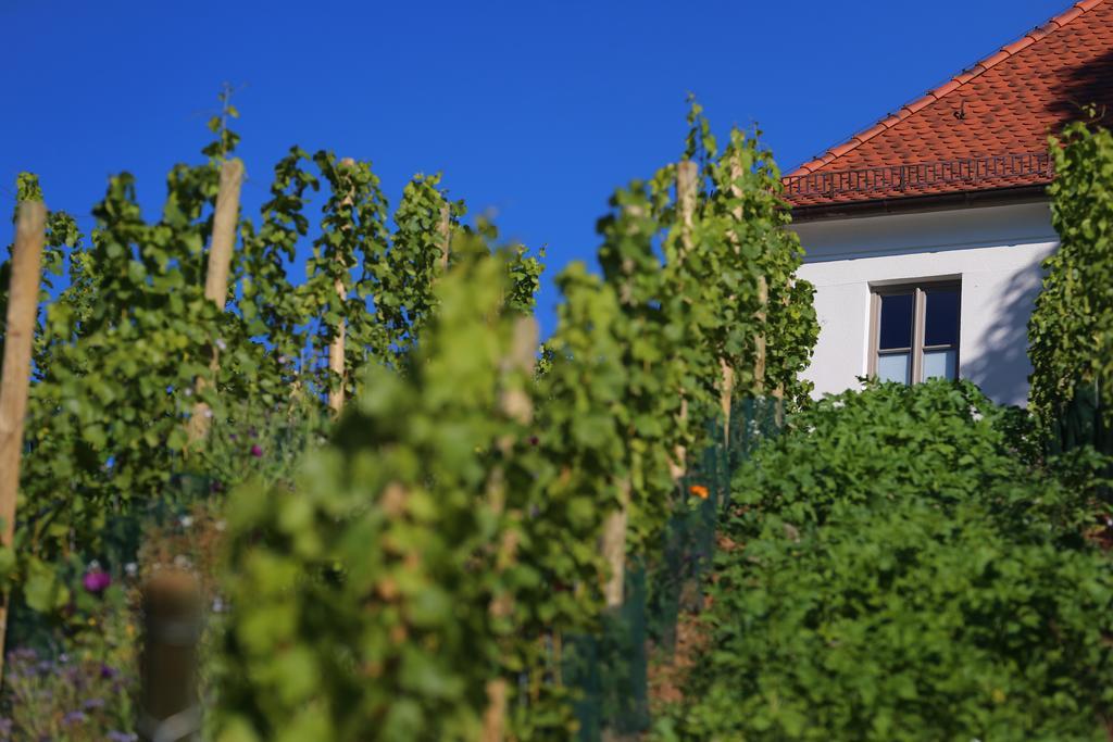Vogelsburg Escherndorf Exterior foto